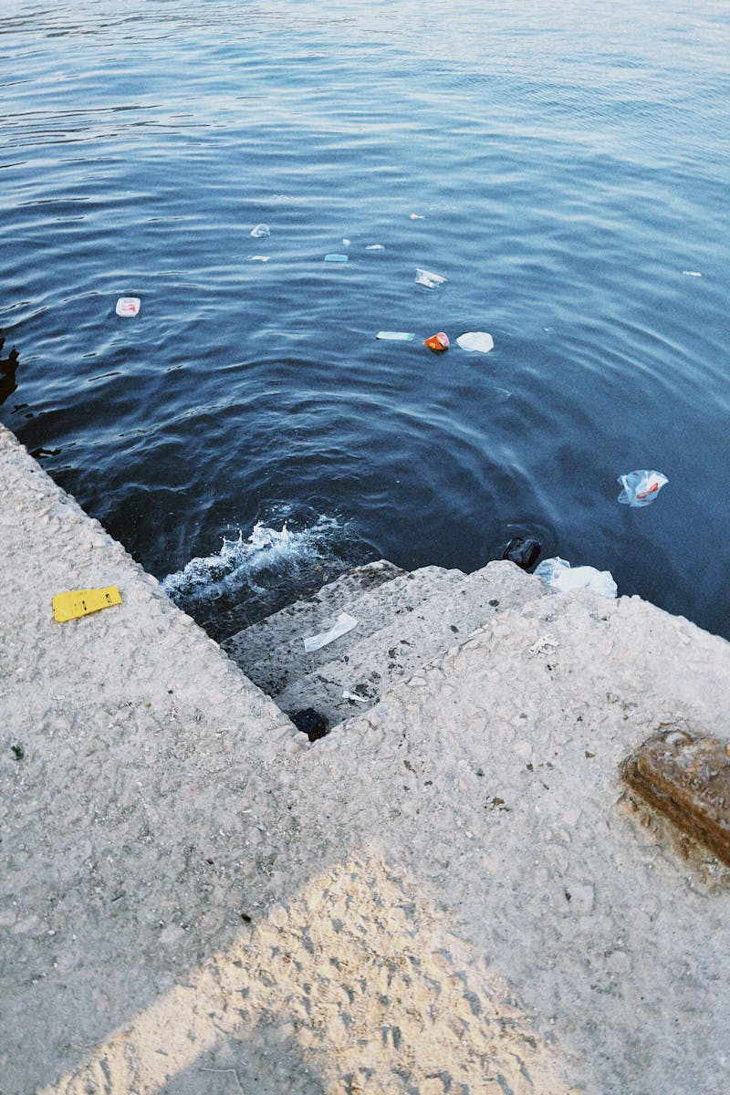 Concrete steps leading into a polluted body of water with visible trash.